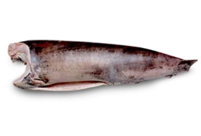 Swordfish headed and gutted